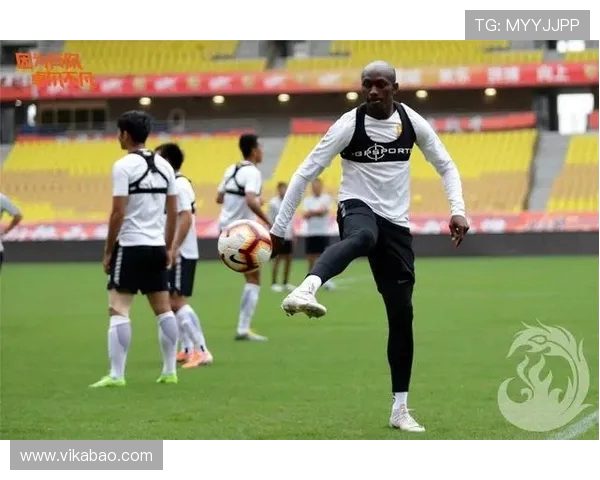 武汉飞盘队耐力表现数据分析揭示运动员潜力与训练效果的深度探讨