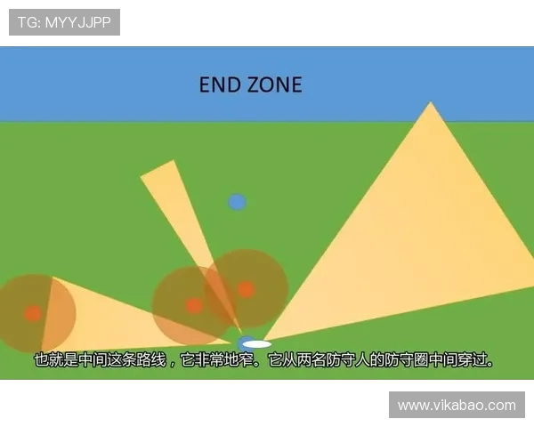 南京飞盘队战术解析与其他队伍的对比研究